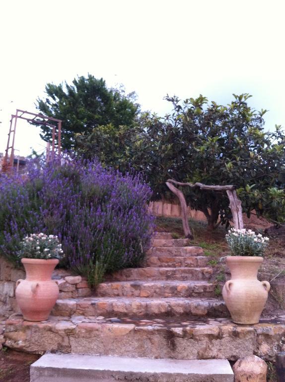 A Fata Di L'Ortolo Gites A La Ferme Sartène Habitación foto